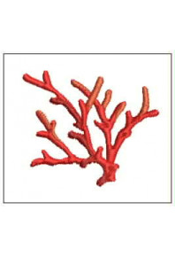 Plf062 - Coral